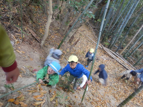 DSCN4978