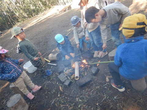DSCN9979