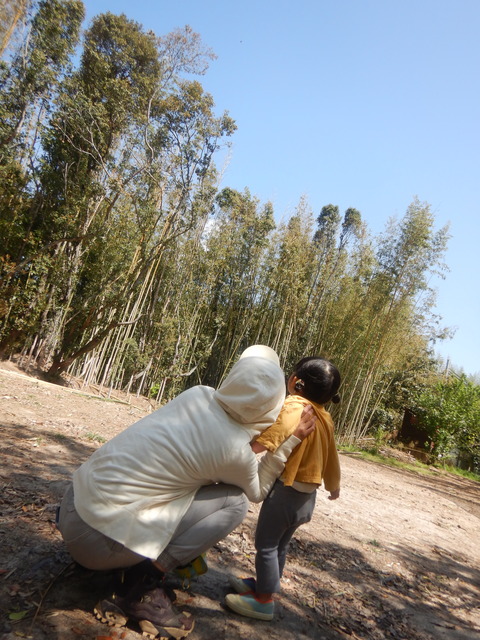 DSCN1365