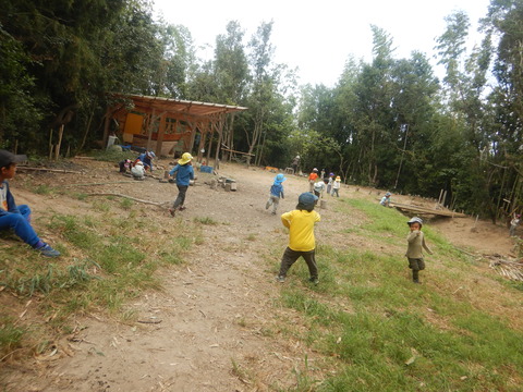 DSCN4131