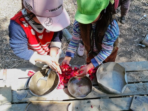 1773315657___4086773_C0510153