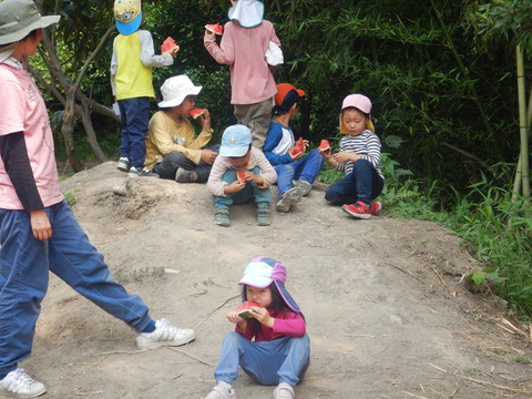 DSCN8369