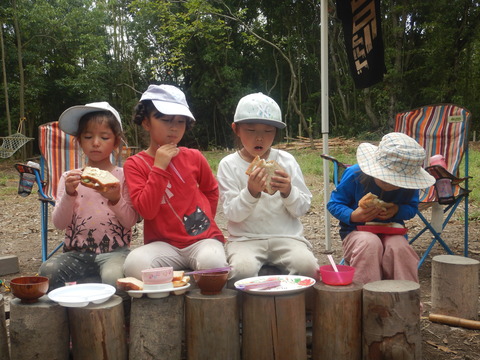 DSCN8617