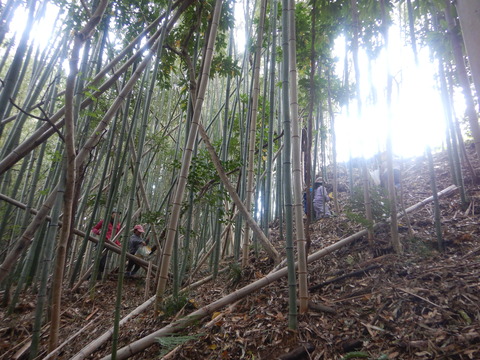 DSCN8051