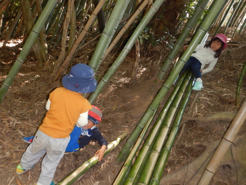 DSCN3783
