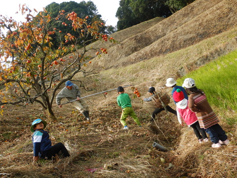 DSCN0709