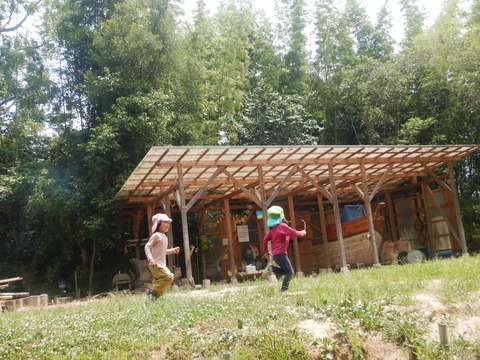 DSCN9946