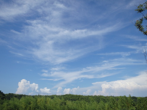 P8060641