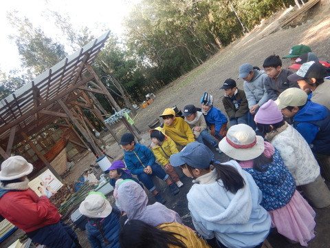 DSCN8218
