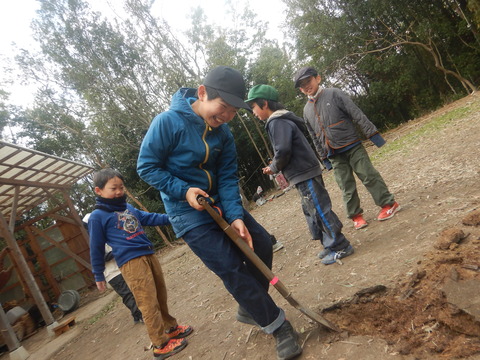 DSCN8245