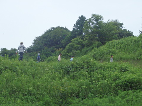 P6303390