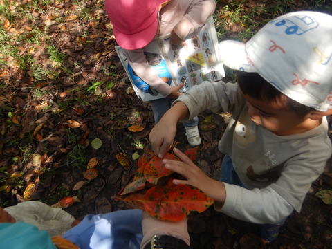 DSCN0130