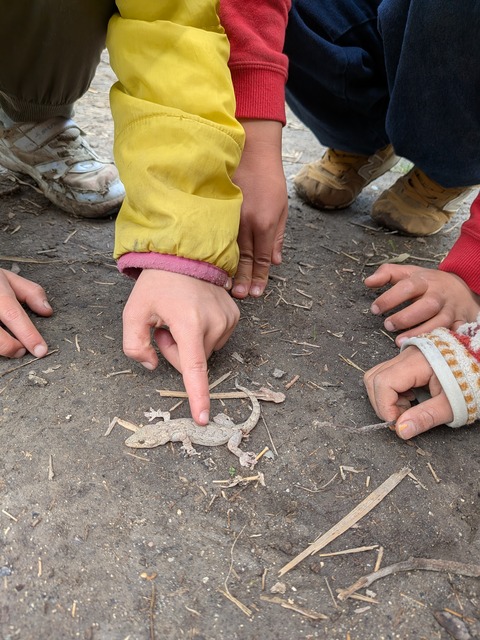 PXL_20260306_012256734