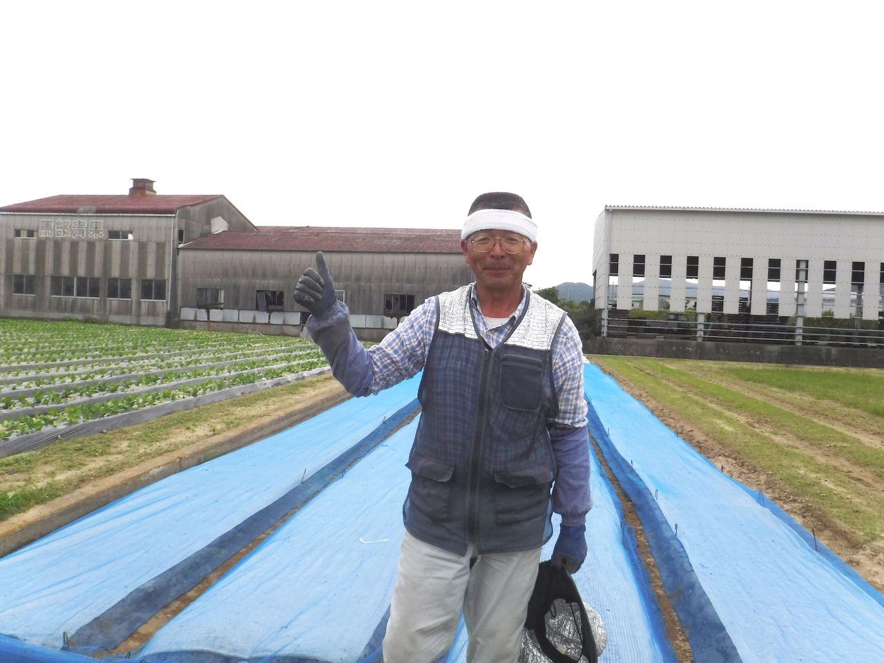 淡路島玉ねぎ 種まき終了 ｪ 淡路島 濱田ファームのブログ