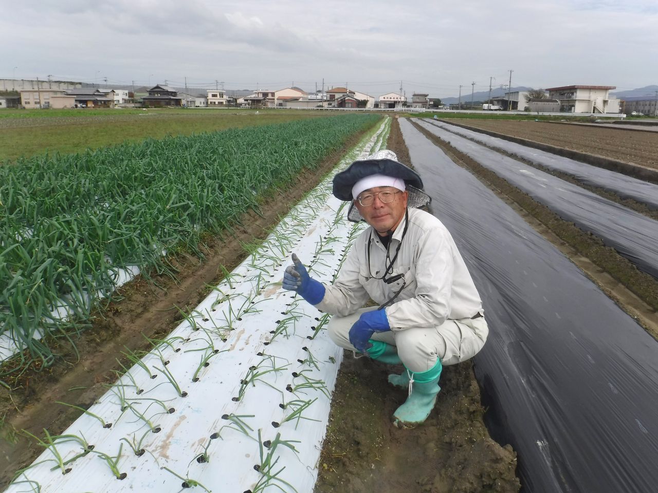 始まりました 淡路島 濱田ファームのブログ 始まりました 淡路島 濱田ファームのブログ
