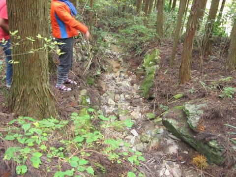 �ۻ��ο�ϩ��A