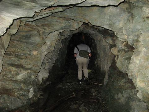 ���ι�ƻ��