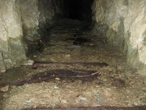 ��ƻ����