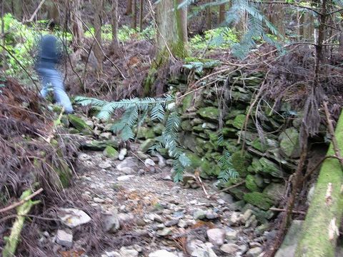 ��ϩ���г�