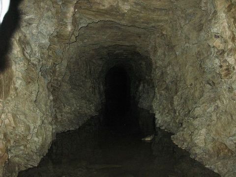 �����ʤ��ʤä�