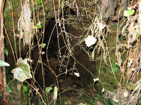 ʡ����ۻ�����B