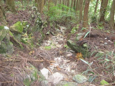 �ۻ��ο�ϩ��B