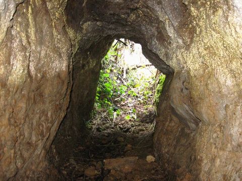 ʡ����ۻ�����C