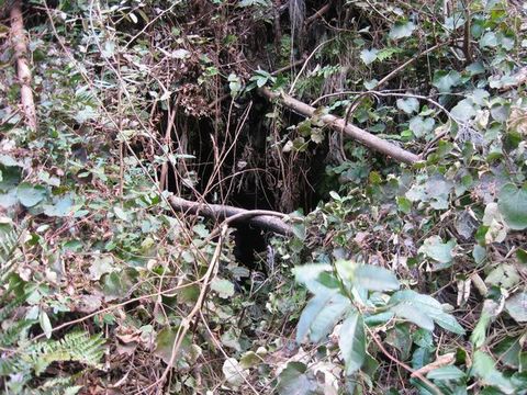 ʡ����ۻ�����A