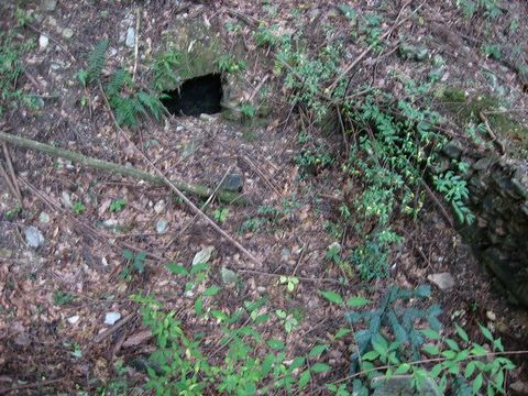 ú�Ƥ�����A