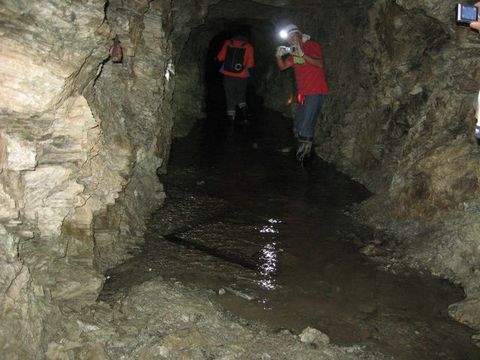 ��ƻ��ȥ������