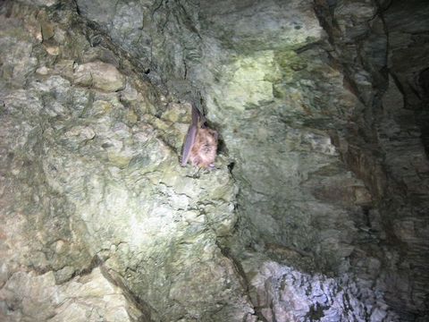 ��������������