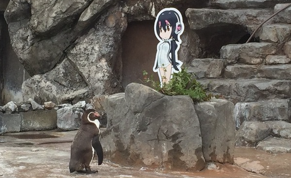【悲報】絵に恋したペンギン、隔離される（画像あり）
