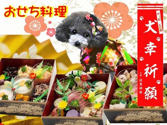 【話題】お犬様用のおせちがでたぞ！！和牛や豪華食材で１箱5000円超ｗｗｗｗｗ