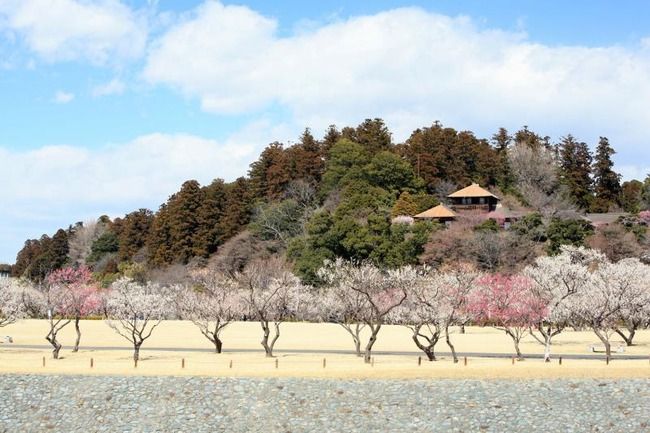 群馬「富岡製糸場！草津温泉！」栃木「日光東照宮！華厳の滝！」茨城「……！！」