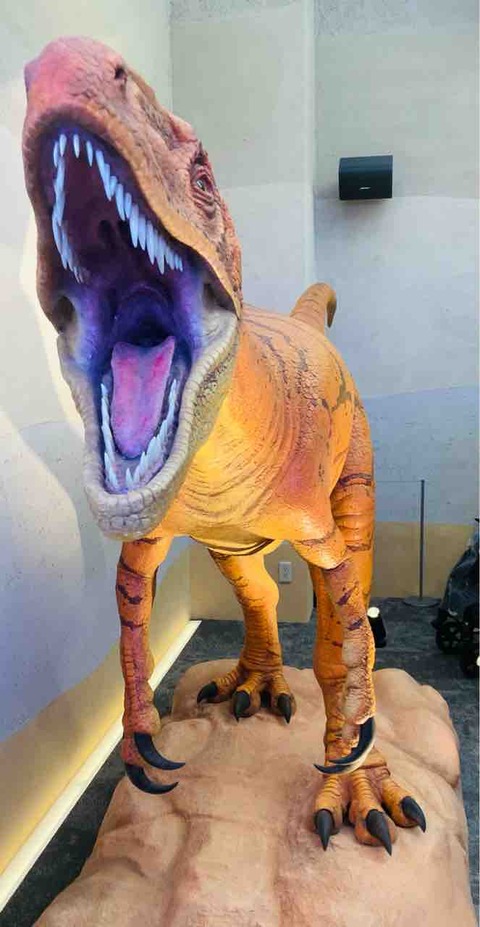 FullSizeRender