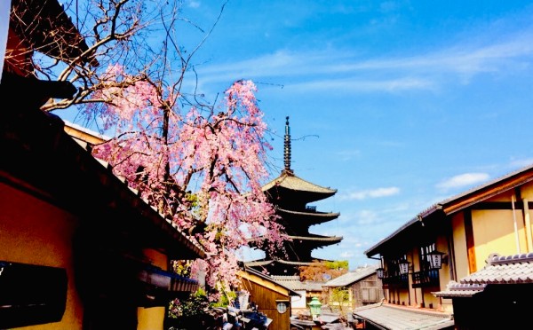 18e054d7.jpg
