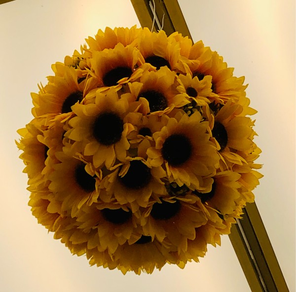 325f7e3e.jpg