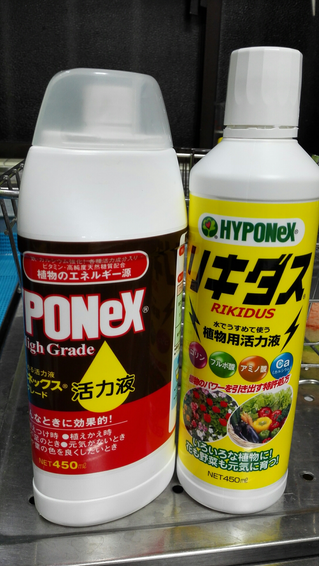 立ち上げ8日目 気が向いたらね 立ち上げ8日目 気が向いたらね