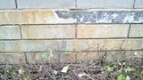 P1000257 (500x281)