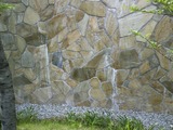 20120731_5 (500x375)