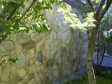 20120731_7 (500x375)