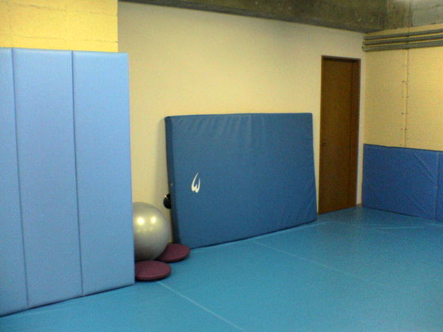 壁マット 船橋市 Axis柔術千葉支部代表のブログ