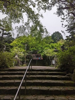 荒平山城・油山に登山してきました（梅林駅スタート）