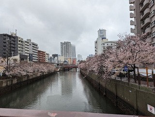 横浜ホテヘル：ちぇっくい〇横浜女学園に行ってきました