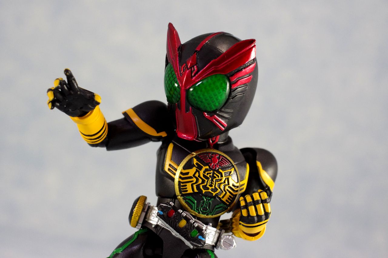 非売品】R/D仮面ライダーフォトコンテスト『優秀作品賞』賞品