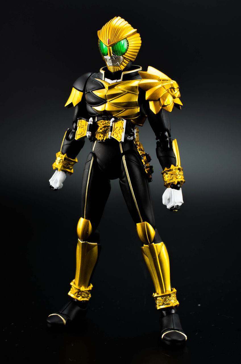 S.H.Figuarts（真骨彫製法） 仮面ライダーファイズ アクセルフォーム 仮面ライダー野獣 S.H.フィギュアーツ 仮面ライダービースト レビュー