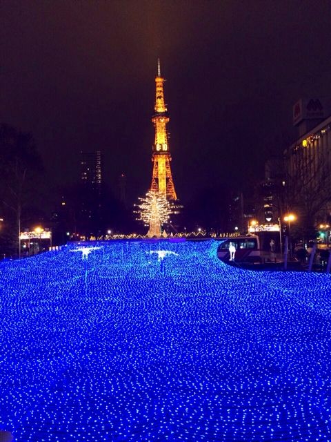 札幌イルミ