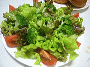 �꡼�ե쥿���ȥ��ˡ��쥿�����֥��å��꡼�Υ��꡼�󥵥��