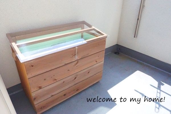 キエーロ 生ゴミ処理機を導入しました Welcome To My Home