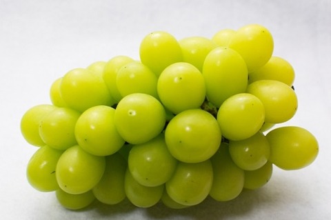 bb2c94e188c7d45e56acfad3c96f572e_s